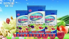 洛杉矶奥运会将是乒乓球